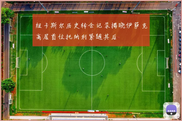 纽卡斯尔历史转会记录揭晓伊萨克高居首位托纳利紧随其后